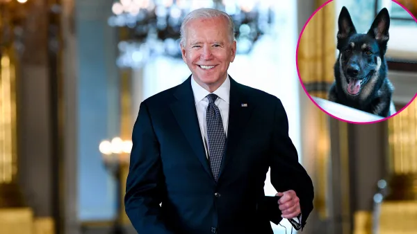 Joe Biden's Dog Major Has a New Family, White House Will Get a Cat in 2022
