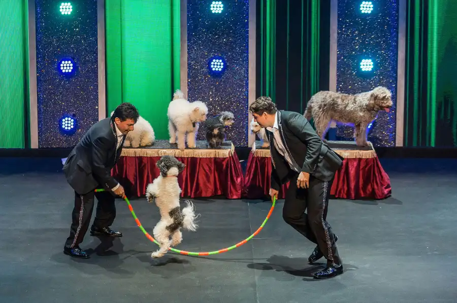 America’s Got Talent Winners Where Are They Now