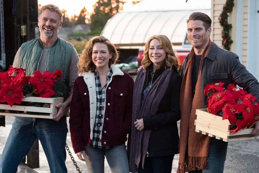 Poinsettias Christmas