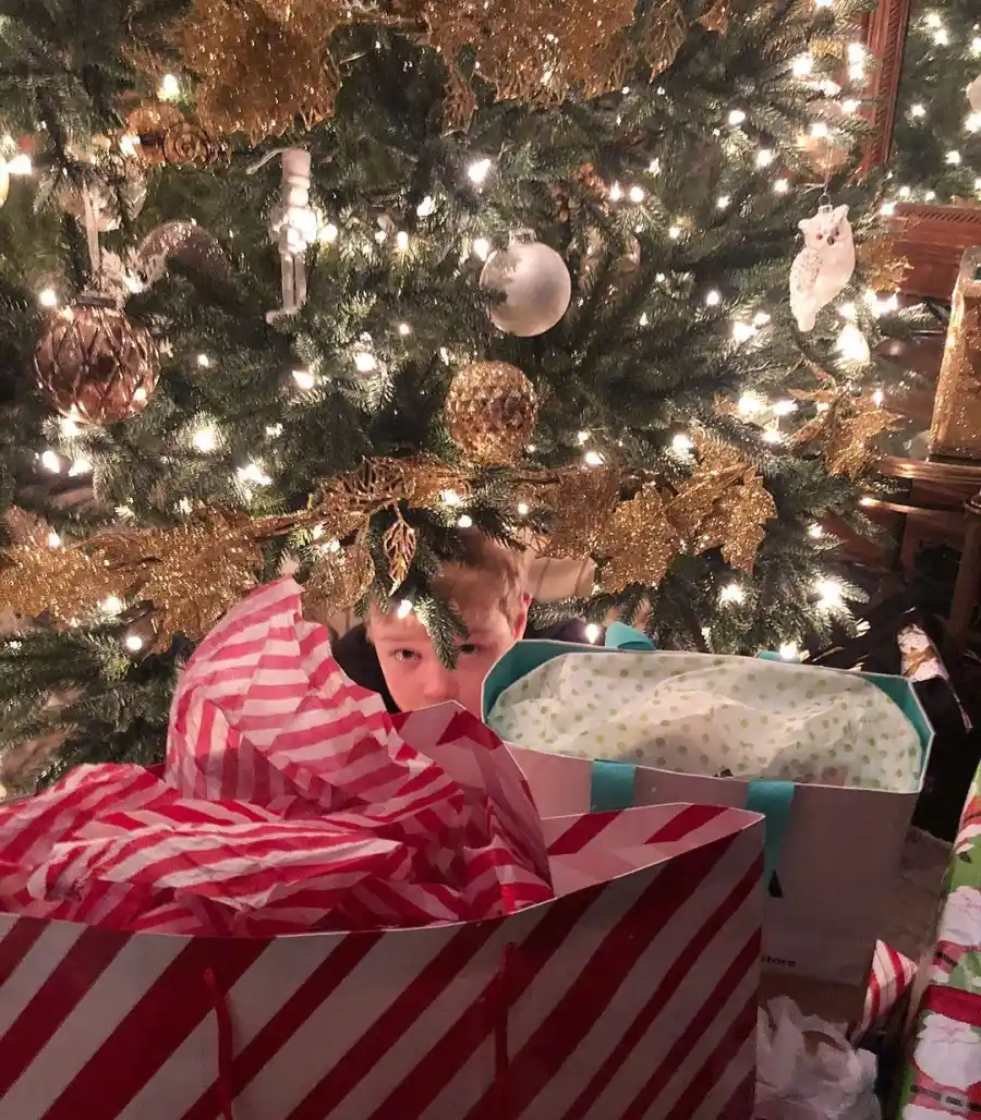 Stars Decorating for the Holidays 2021