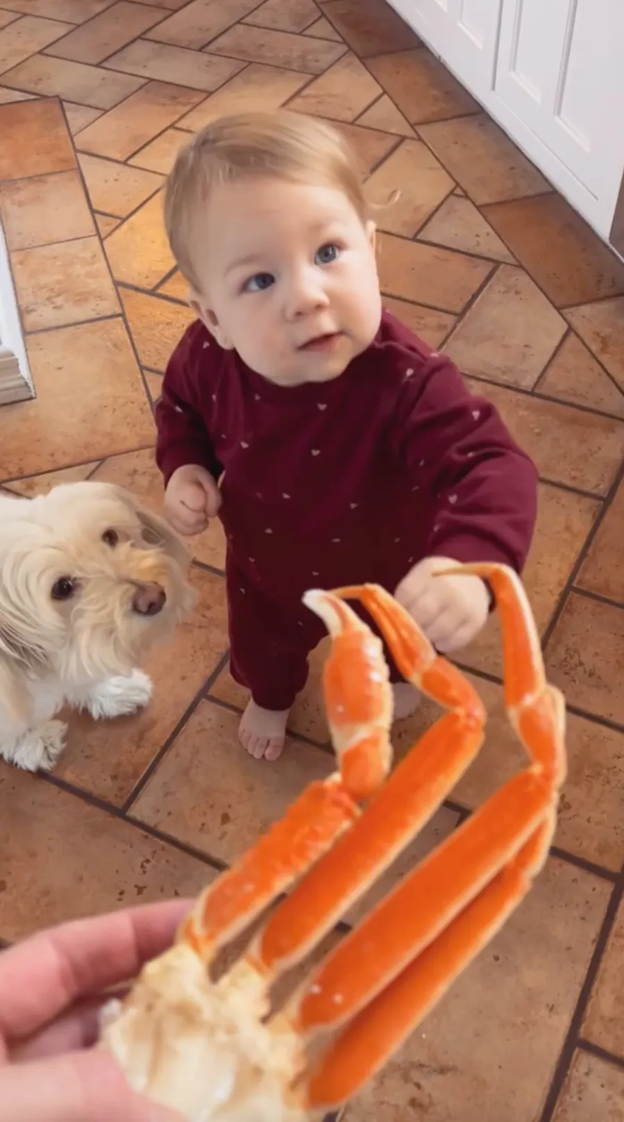 Watch Stassi Schroeder and Beau Clark’s Daughter Hartford Take Her 1st Steps