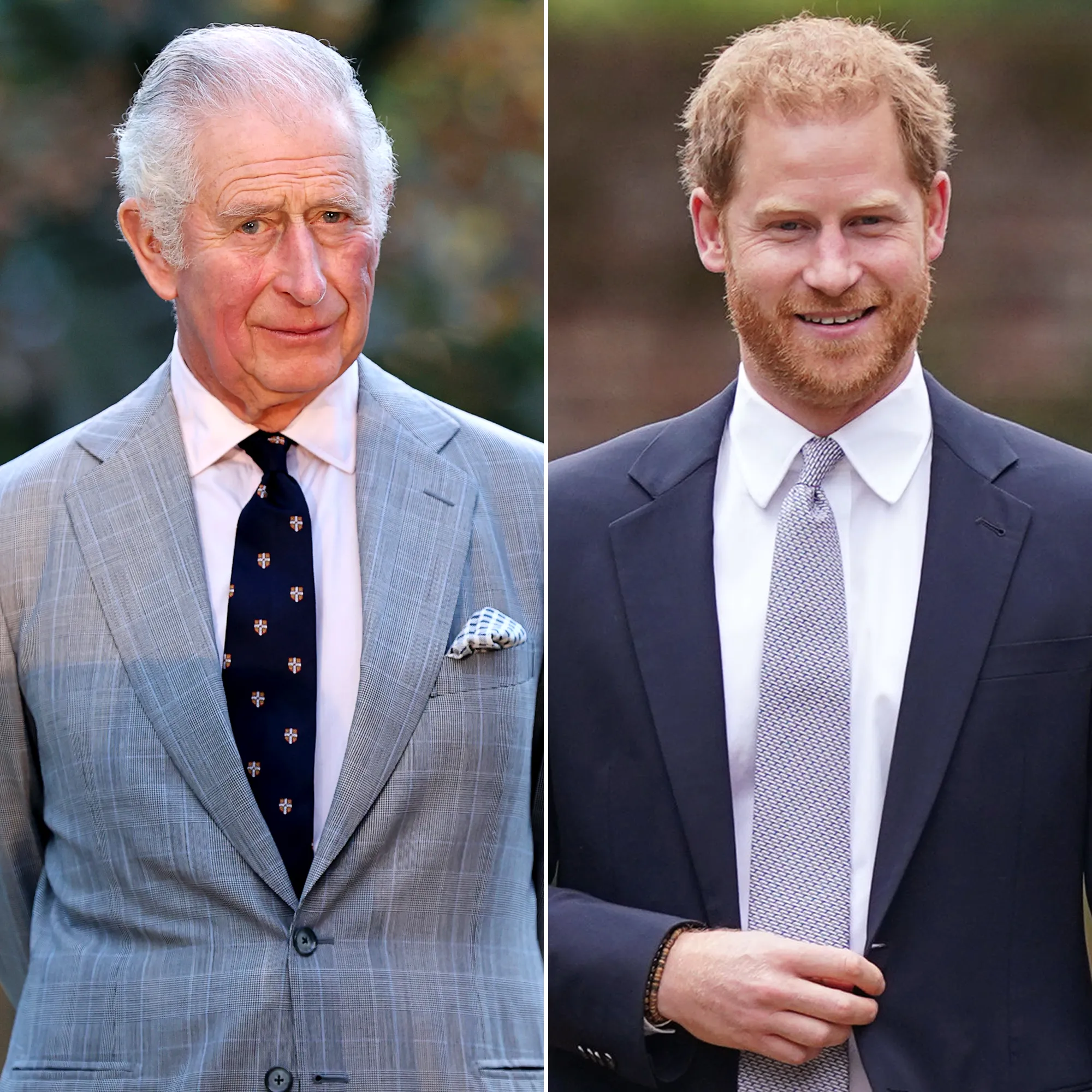 Prince Charles and Prince Harry Have 'Absolutely' Made Improvements Since CBS Tell-All, Royal Expert Says