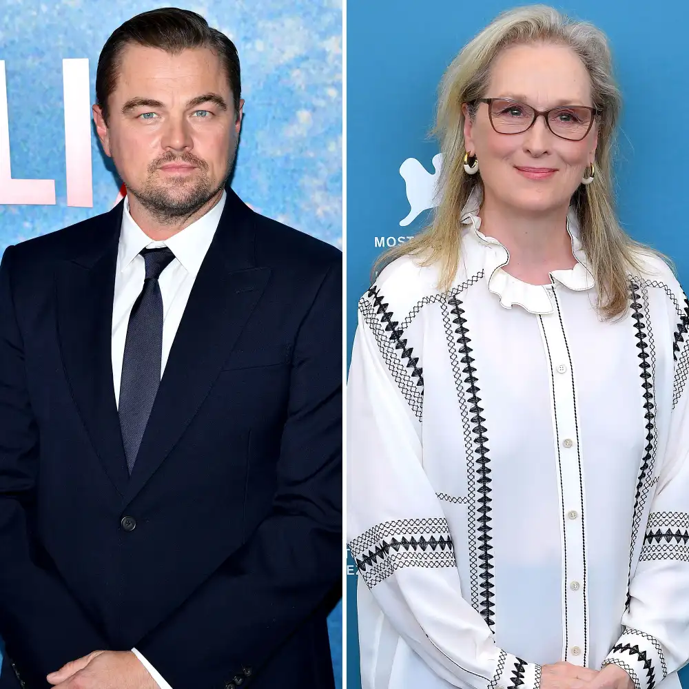 Why Leonardo DiCaprio Had a &lsquo;Problem&rsquo; With Meryl Streep Doing a Nude Scene
