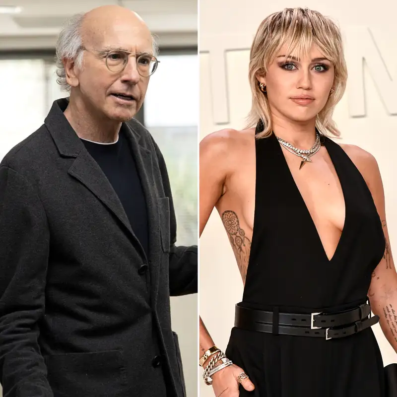 Bah Humbug! Larry David, Miley Cyrus and More Celebs Who Hate Christmas