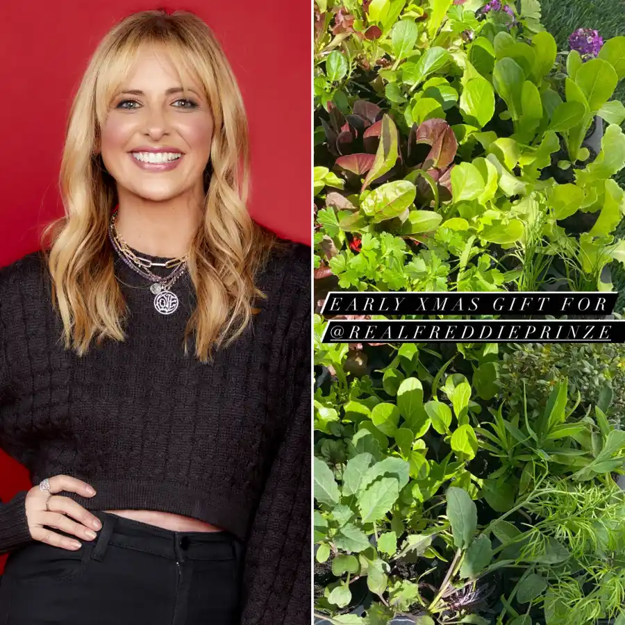 Holiday Spirit! Stars Who Are Great at Gift-Giving