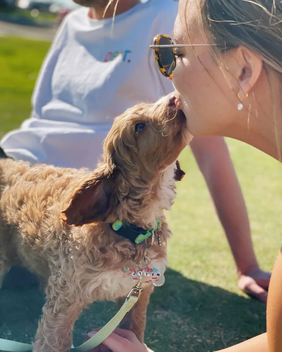 Bachelorette’s Hannah Brown and Boyfriend Adam Woolard Get New Puppy