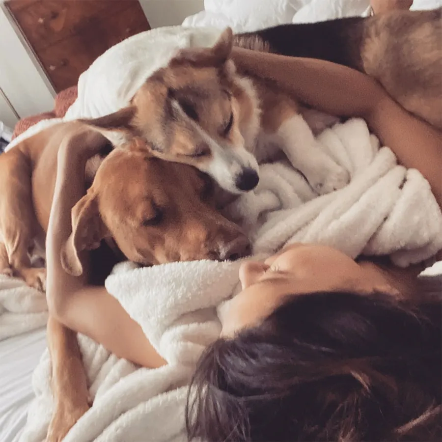 Becca Kufrin Reality TVs Most Popular Pets