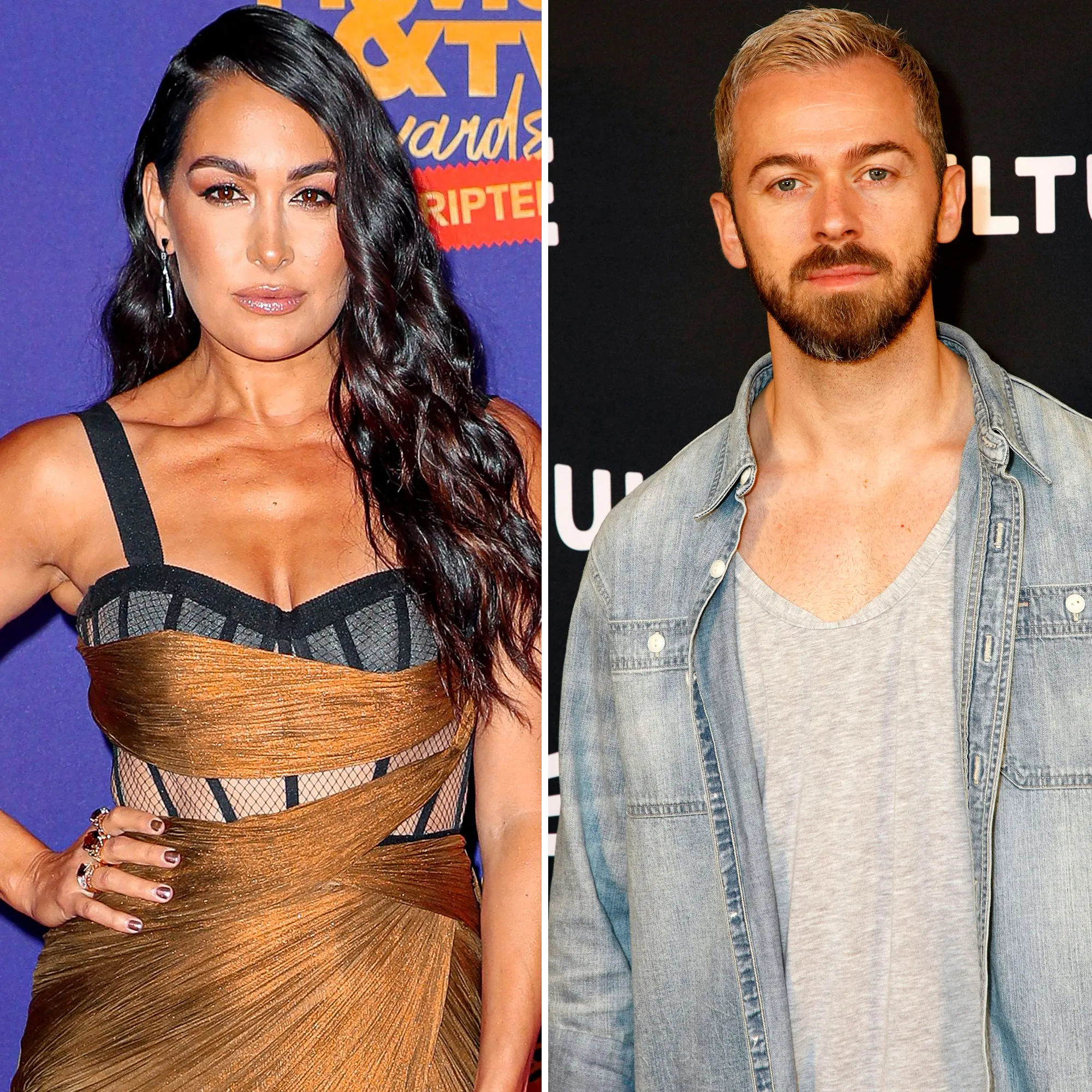 Brie Bella Says Artem Chigvintsev's COVID Battle Was 'Hard on Him'