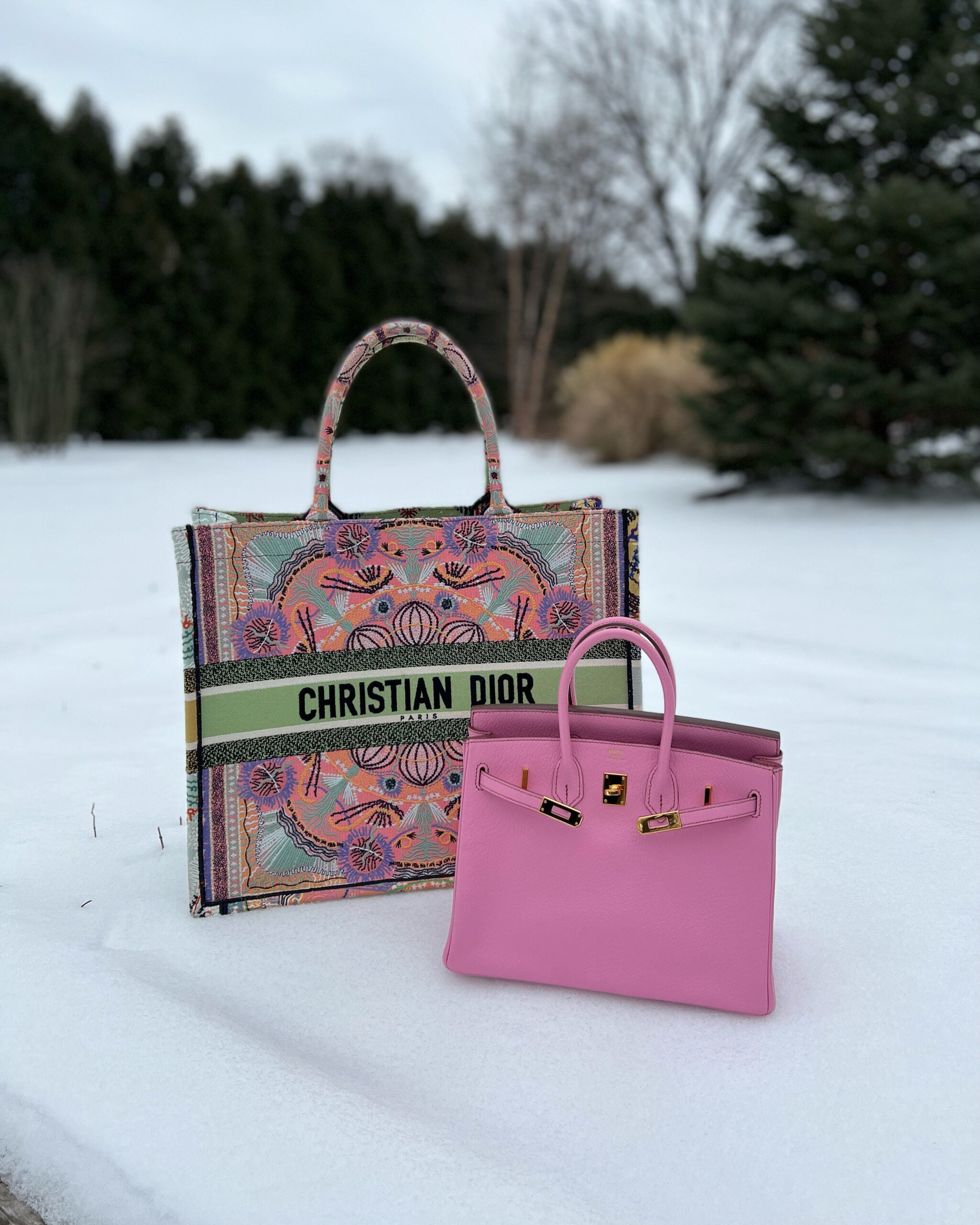 Dior Book tote,Dior Prices