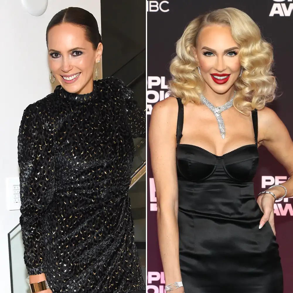 Davina Potratz Defends Christine Quinn Against Fake Pregnancy Speculation: I've Seen Her C-Section Scar