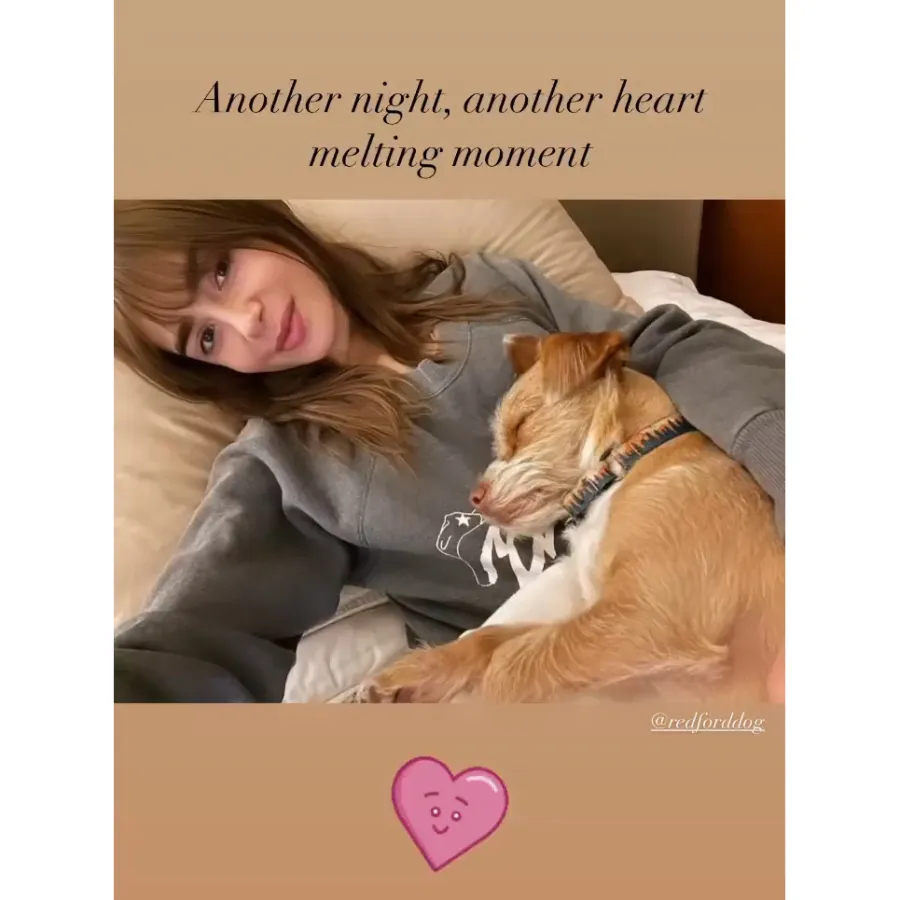 ‘Heart Melting’! Emily in Paris’ Lily Collins Cuddles Up With Dog Redford
