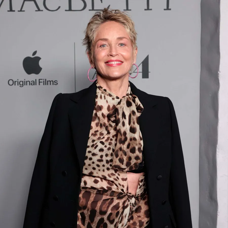 Everything Know About Flight Attendant Season 2