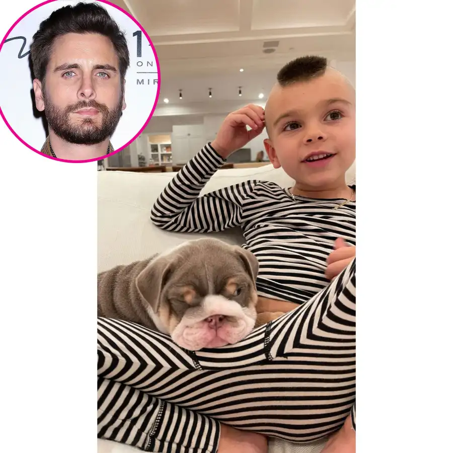 Gallery Update: A Guide to the Kardashian-Jenner Family’s Dogs