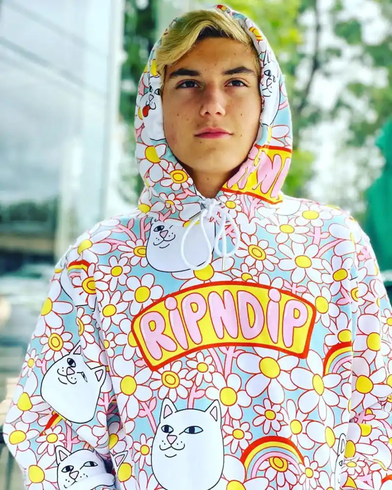 Gavin Rossdale and Gwen Stefani’s 3 Sons’ Photos Over the Years