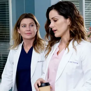 Grey's Anatomy' Season 18 Pauses for COVID-19