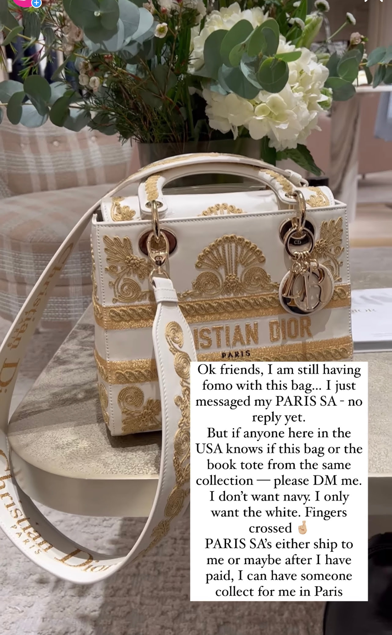 Dior Book tote,Dior Prices