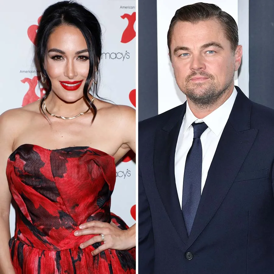 Inside Brie Bellas Attempt DM Leonardo DiCaprio About Environment