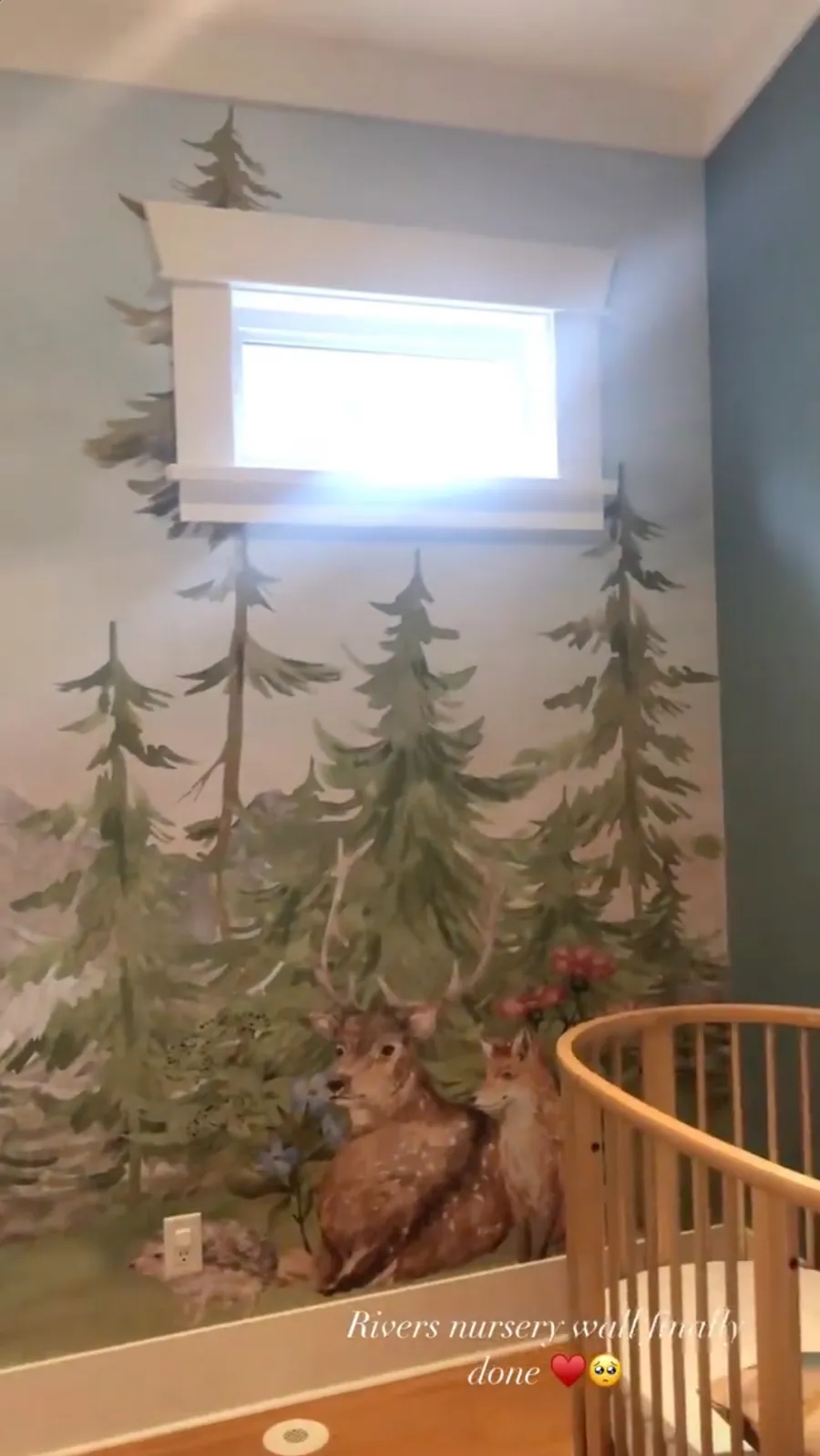 Inside Celeb Parents' Unique Nurseries: Vanessa Morgan and More