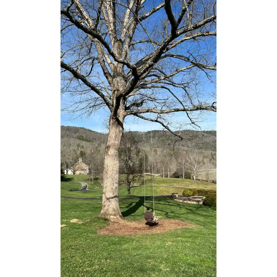 Inside Kendall Jenner and Devin Booker's Intimate New Year's Eve Celebration: Photos