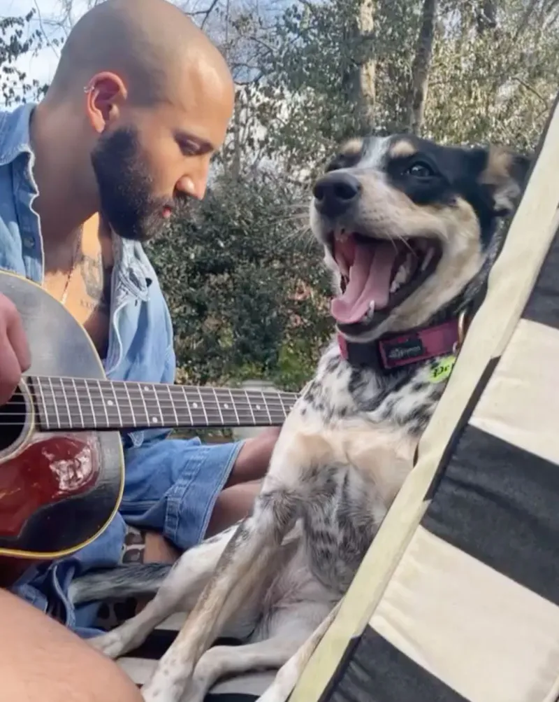 Kacey Musgraves BF Cole Schafer Relationship Timeline