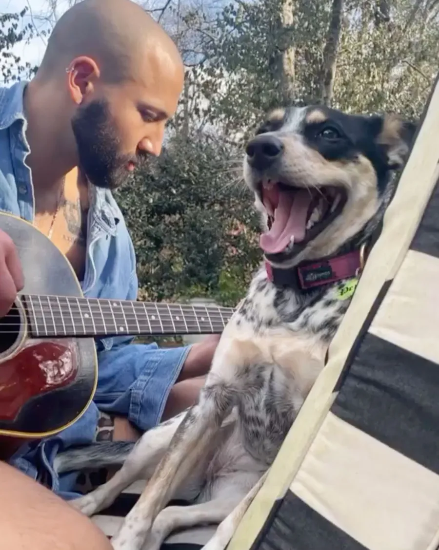 Kacey Musgraves BF Cole Schafer Relationship Timeline