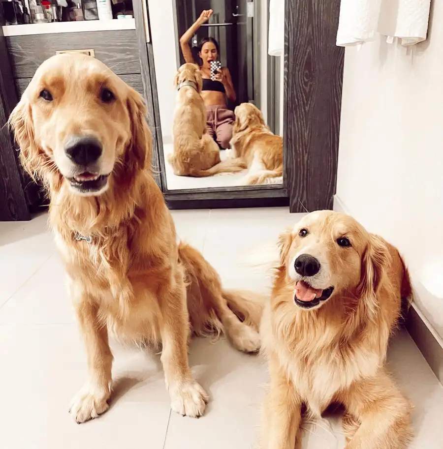 Kaitlyn Bristow Reality TVs Most Popular Pets