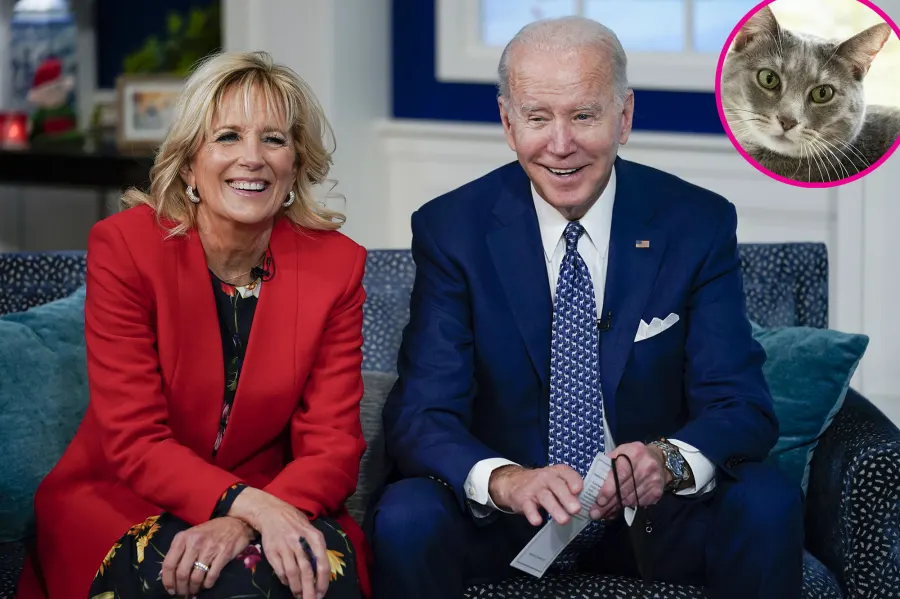Meet Willow! President Joe Biden, Wife Dr.Jill Welcome New Cat