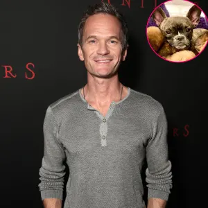 Neil Patrick Harris Coos Over Dog Spike After Breaking His Toe: ‘I’m Sorry’
