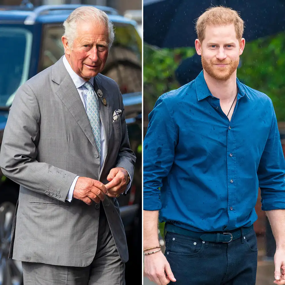 Prince Charles Mentioning Prince Harry&rsquo;s Environmental Efforts Was a Peace Offering Amid Tense Relationship Says Royal Expert
