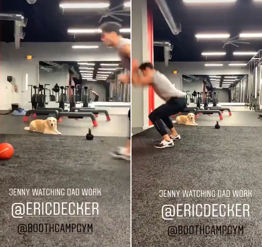 Stars Who Work Out With Their Pets