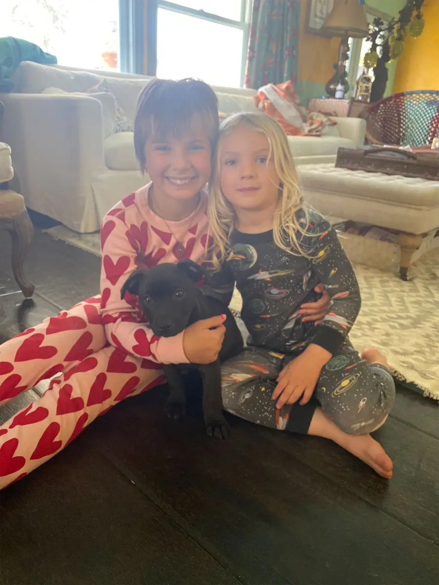 Willow, Jameson and Habañero Pink Twitter