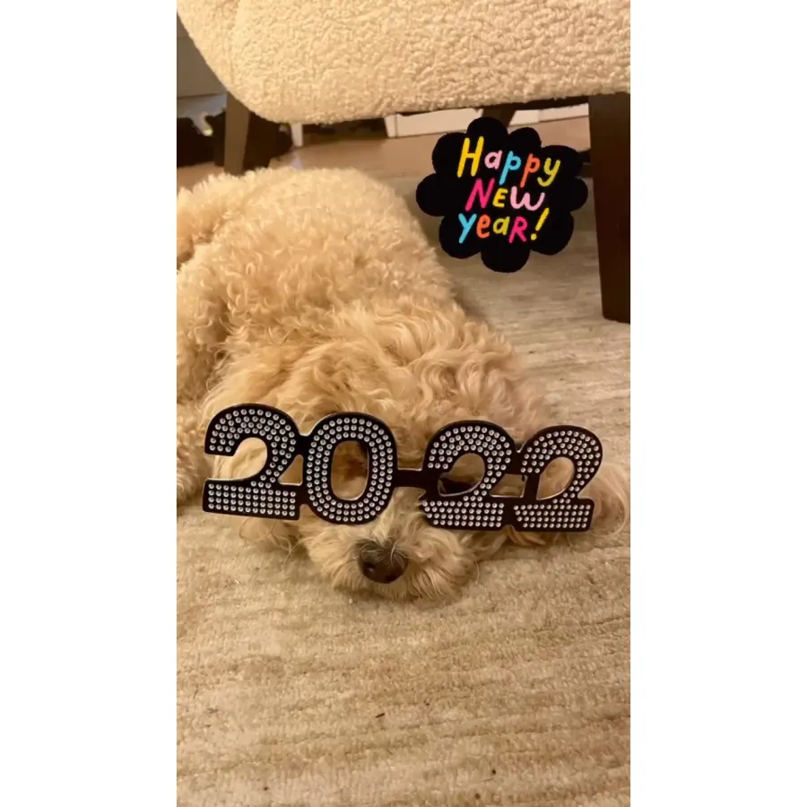 Stars Celebrate New Year’s Eve