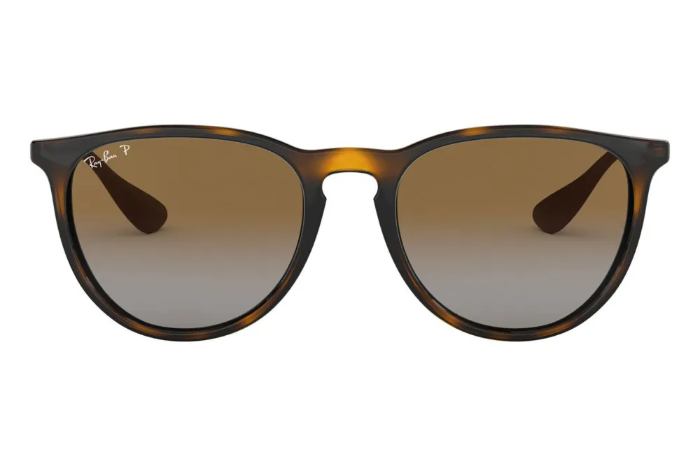 Ray-Ban Wayfarers