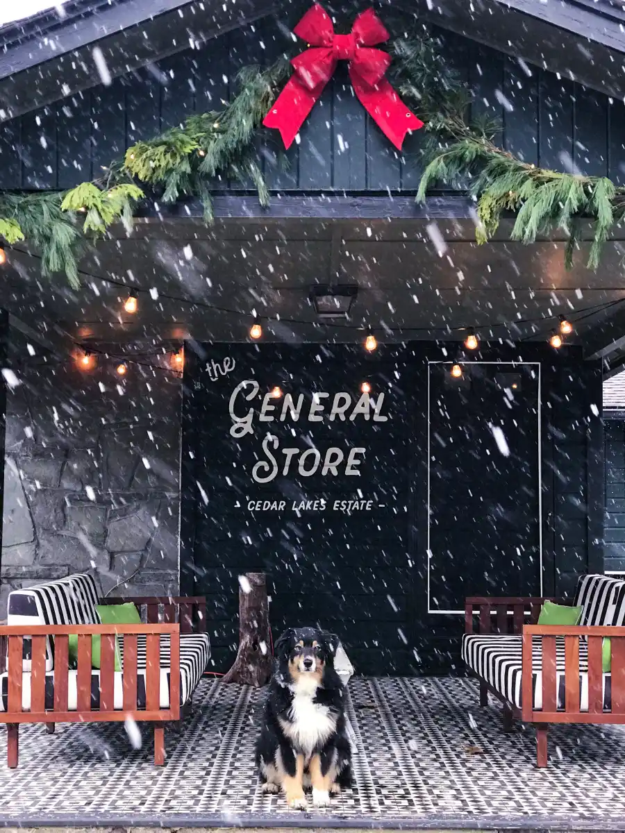 Embrace the Cozy Cabin Vibes at Cedar Lakes Estate