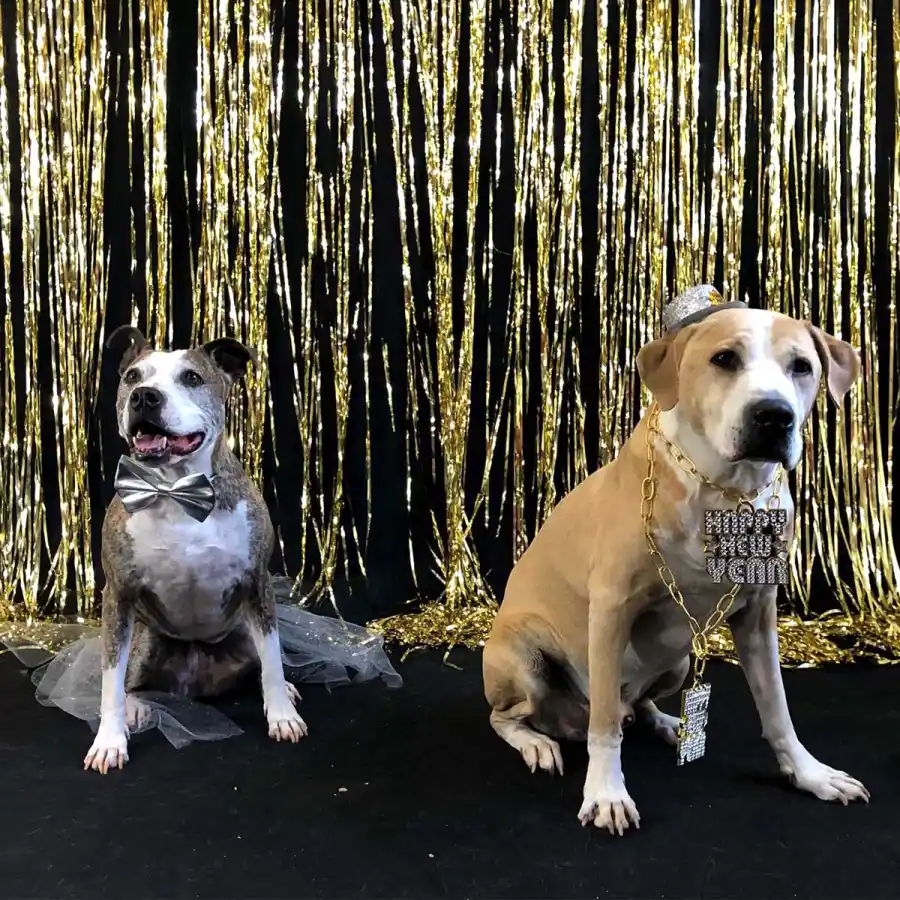 Animal Lover Meet Kaley Cuocos Furry Family Many Pets