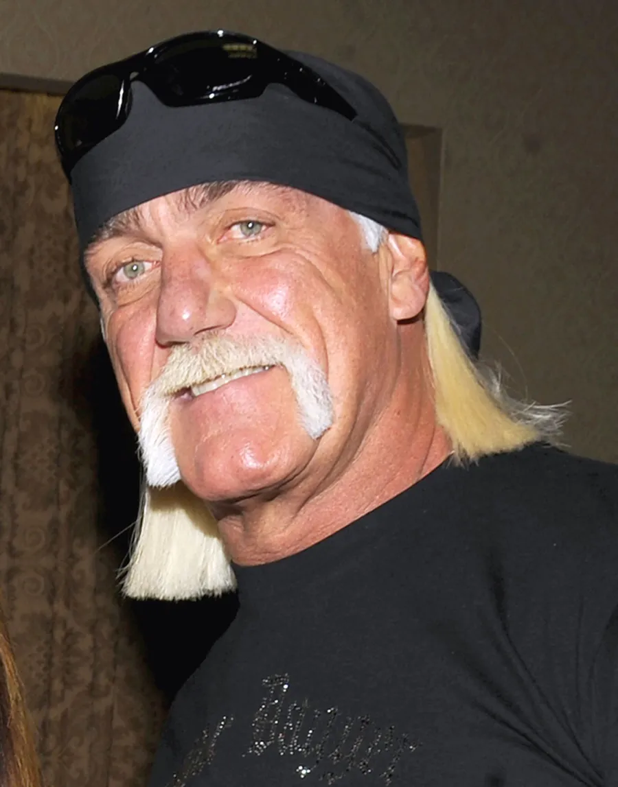 Celebrities' Political Affiliations Hulk Hogan
