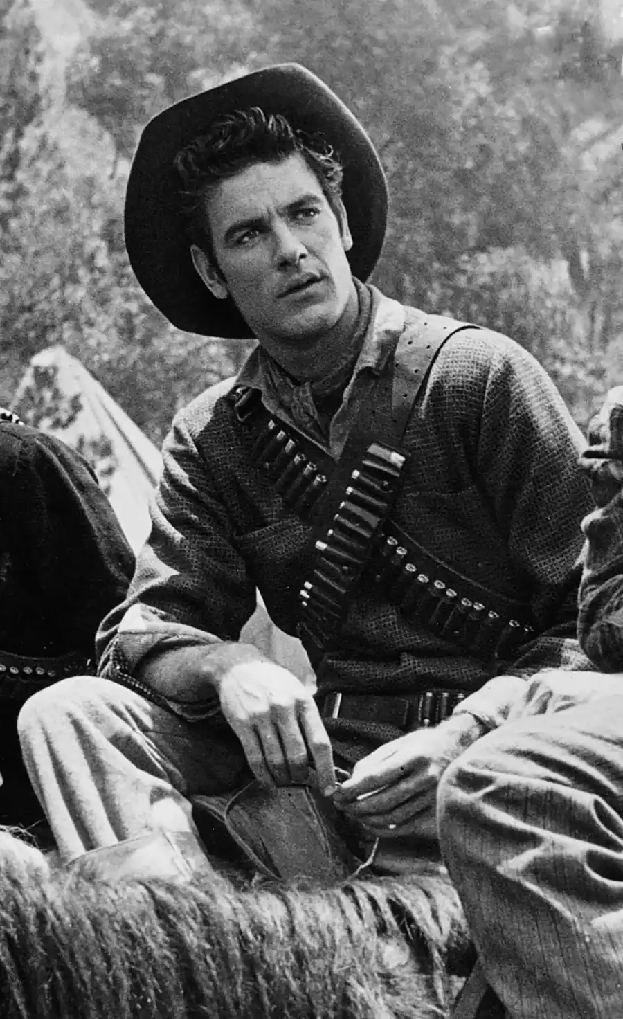 Celebrity Deaths in 2015: Stars We've Lost James Best