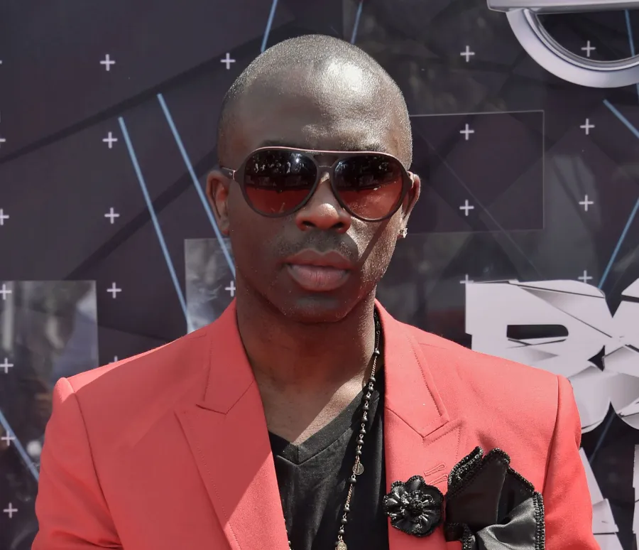 Celebrity Deaths in 2015: Stars We've Lost Sam Sarpong
