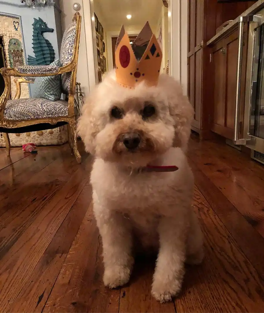 Celebrities Who Have Pets With Food Inspired Names