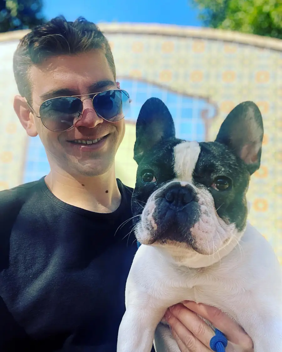 A Complete Guide to Team USA’s Pets