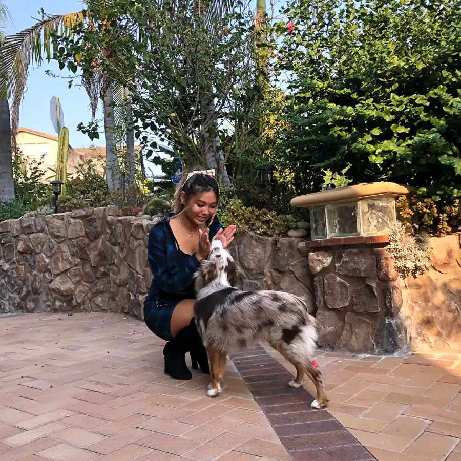 A Complete Guide to Team USA’s Pets