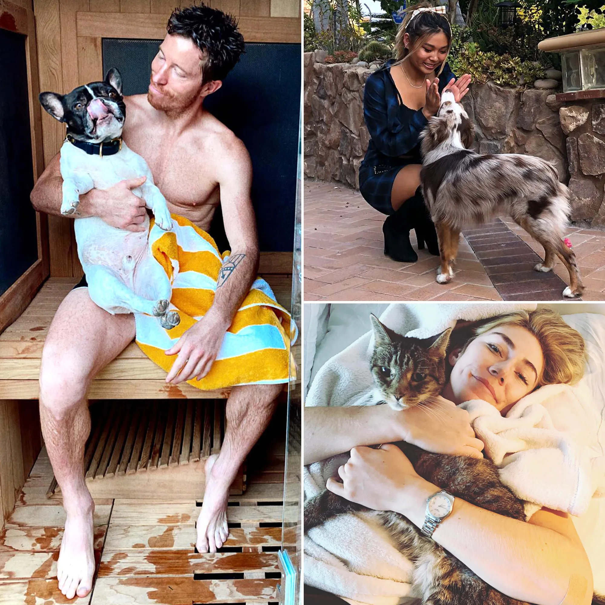 A Complete Guide to Team USA’s Pets