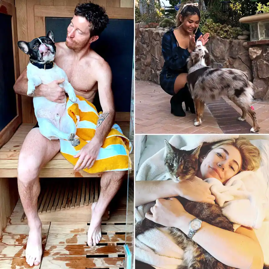 A Complete Guide to Team USA’s Pets