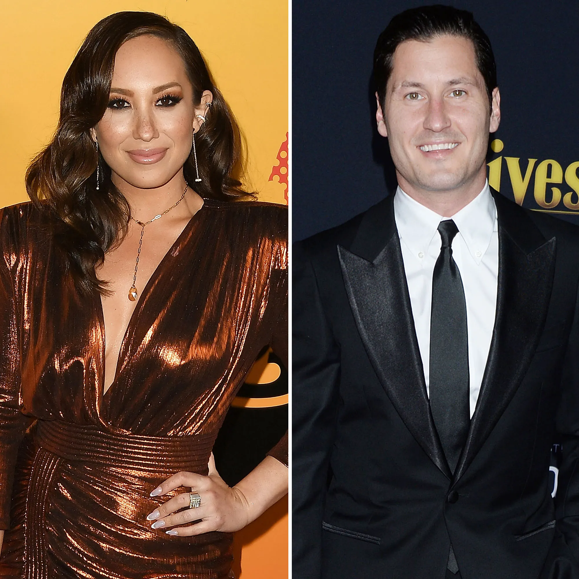 Dancing Dogs A Complete Guide DWTS Cast Pets Cheryl Burke Val Chmerkovskiy