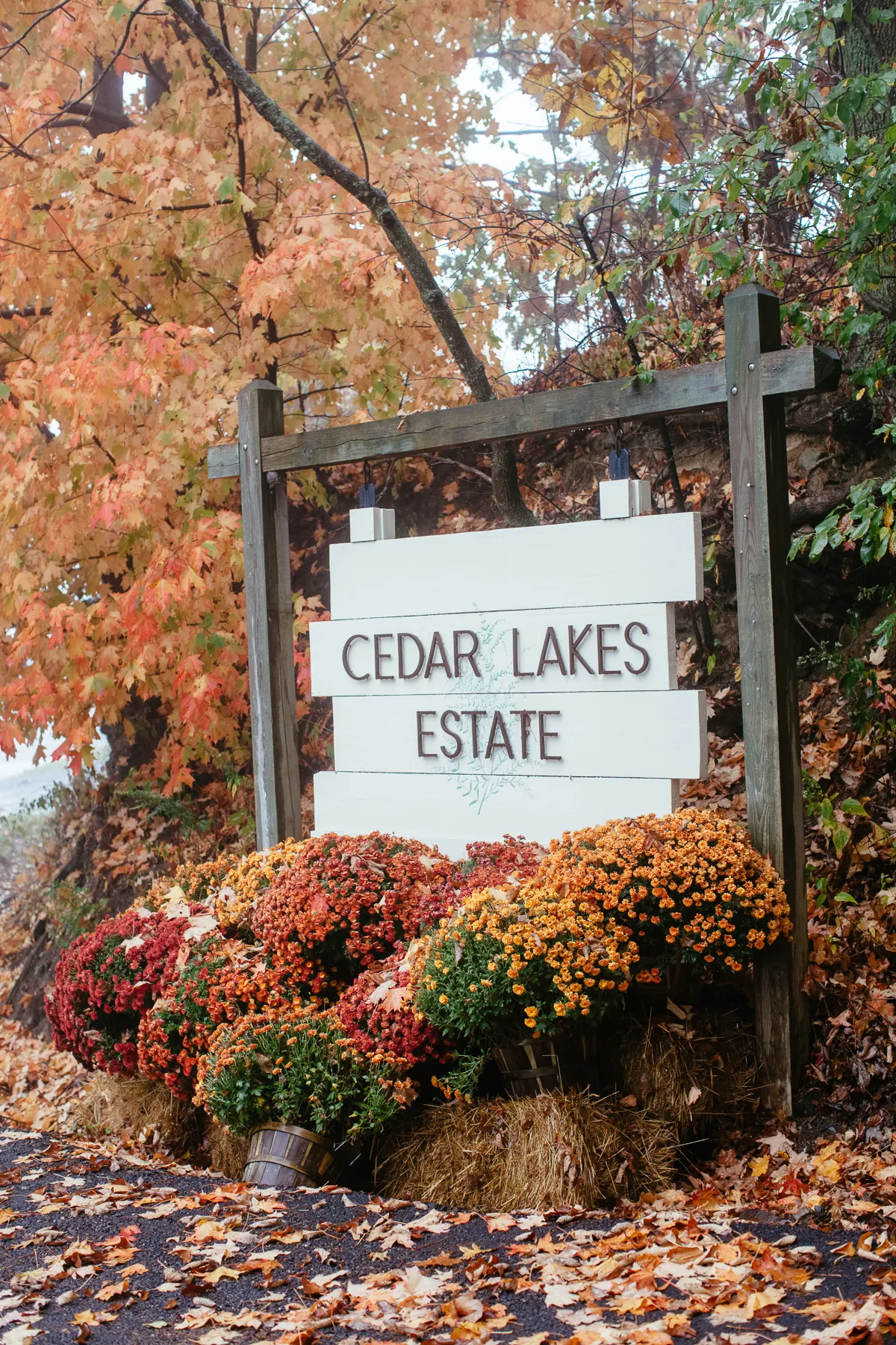 Embrace the Cozy Cabin Vibes at Cedar Lakes Estate