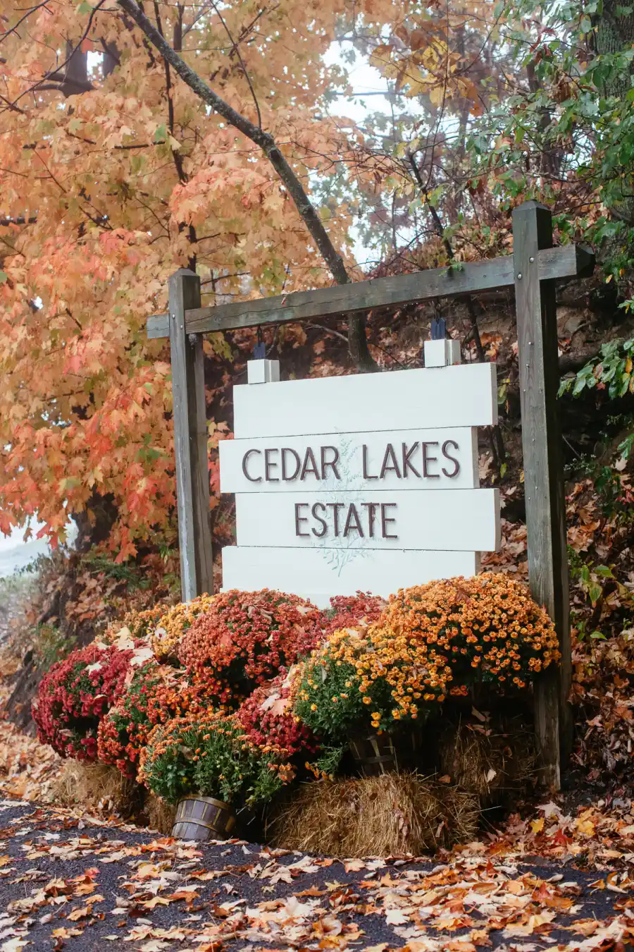 Embrace the Cozy Cabin Vibes at Cedar Lakes Estate