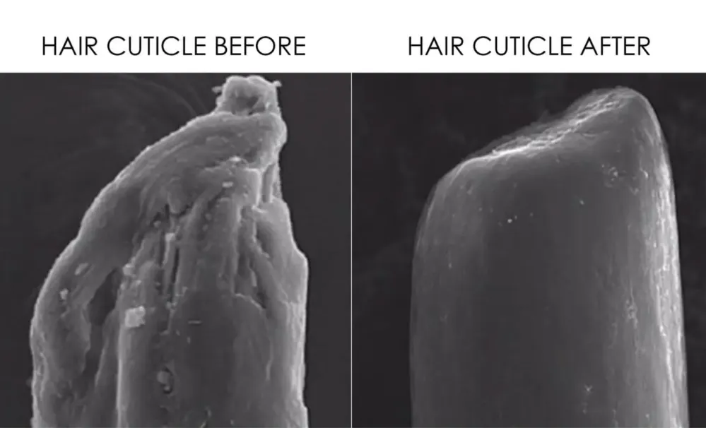 Olaplex No. 3 Hair Perfector