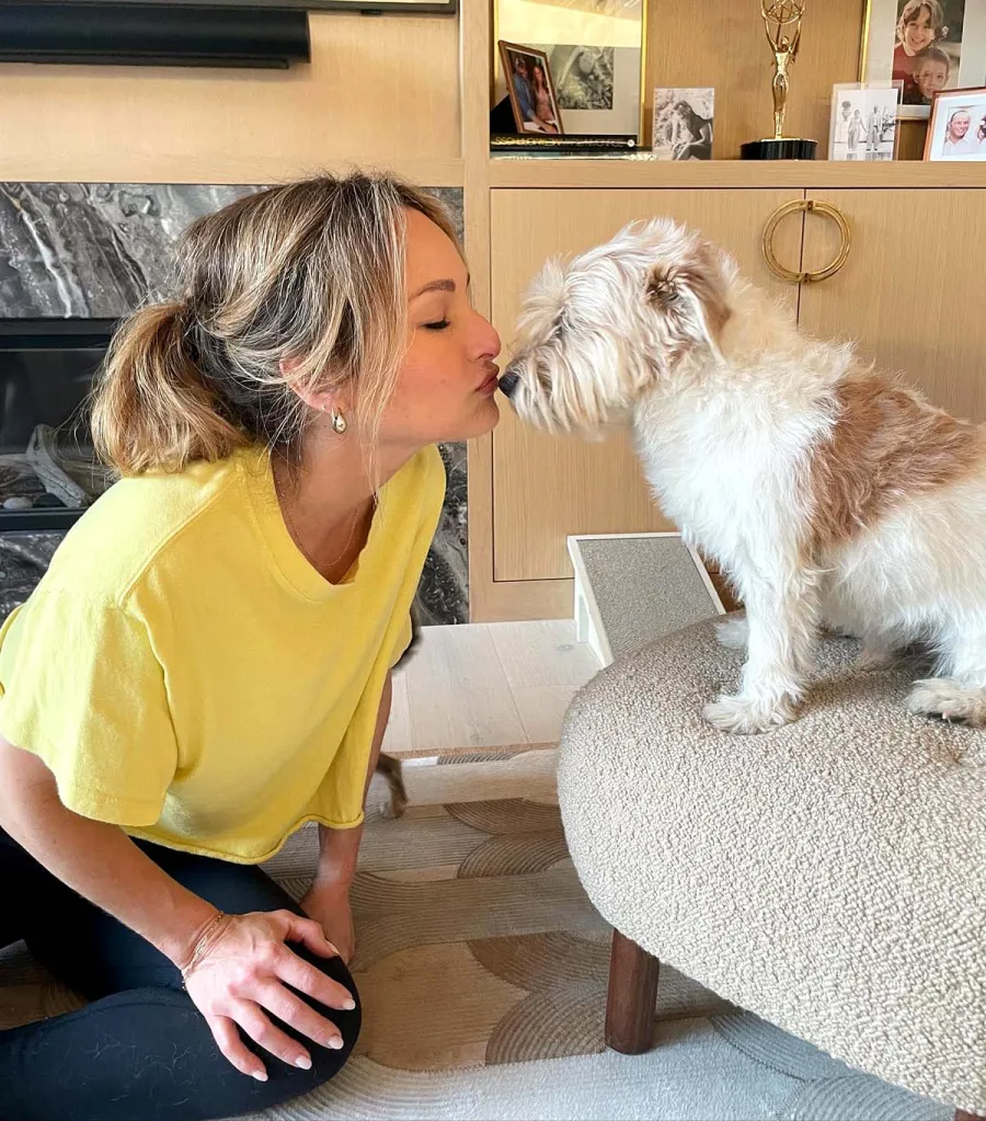 Paws Up A Complete Guide Food Network Stars Pets