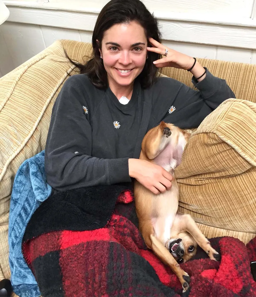 Paws Up A Complete Guide Food Network Stars Pets