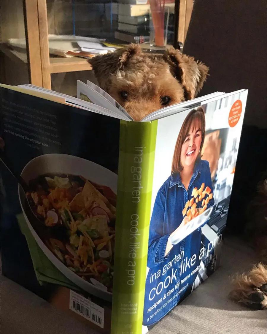 Paws Up A Complete Guide Food Network Stars Pets